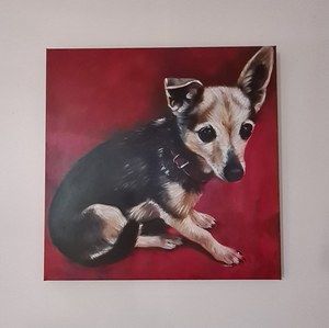 Meet your Posher, Deb